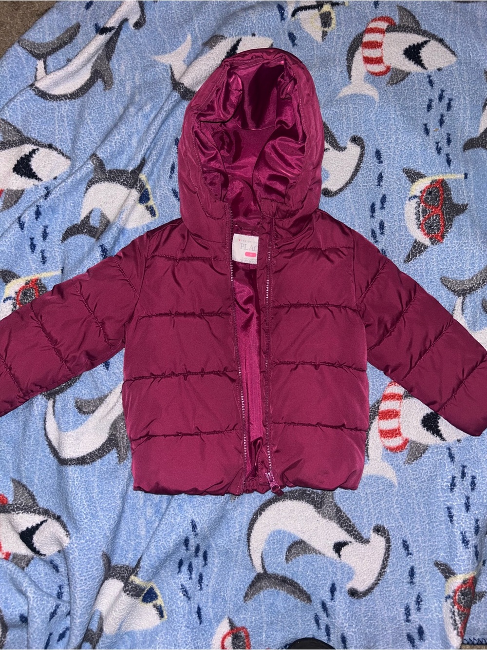 The Children's Place Burgundy Hooded Puffer Jacket